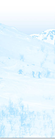 Skiterreng