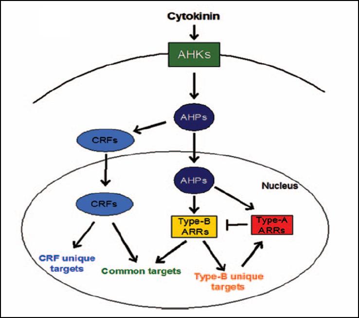 figure1.jpg