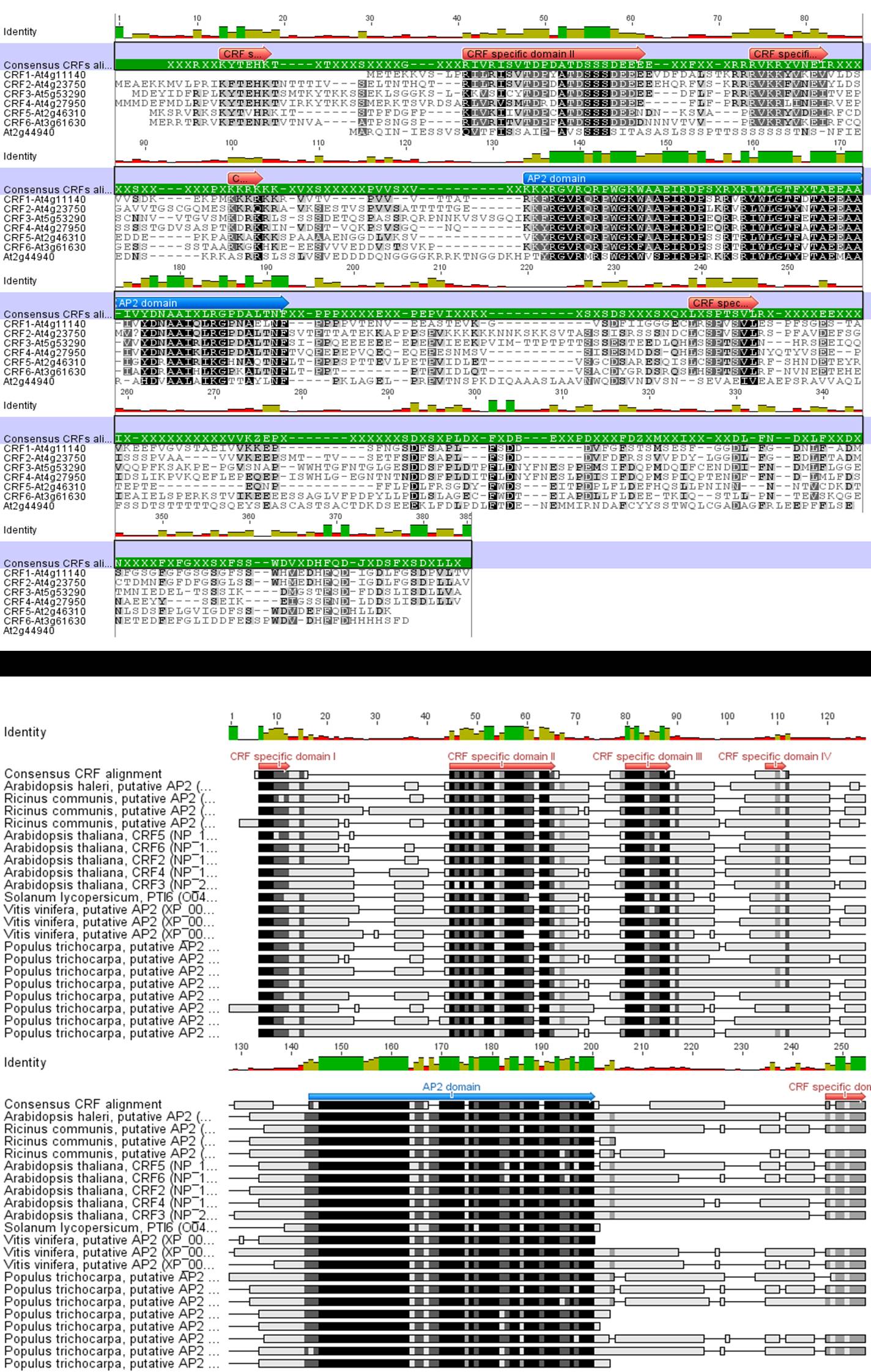 figure 3.jpg