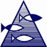 IMR.jpg (Thumbnail (95x95))