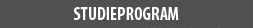 Heading_studieprogram_MyriadP_18_bold_ boxbg_gray.jpg
