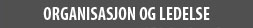 Heading_organisasjon og ledelse_MyriadP_18_bold_ boxbg_gray.jpg