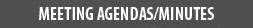 Heading_meeting agendas_MyriadP_18_bold_ boxbg_gray.jpg
