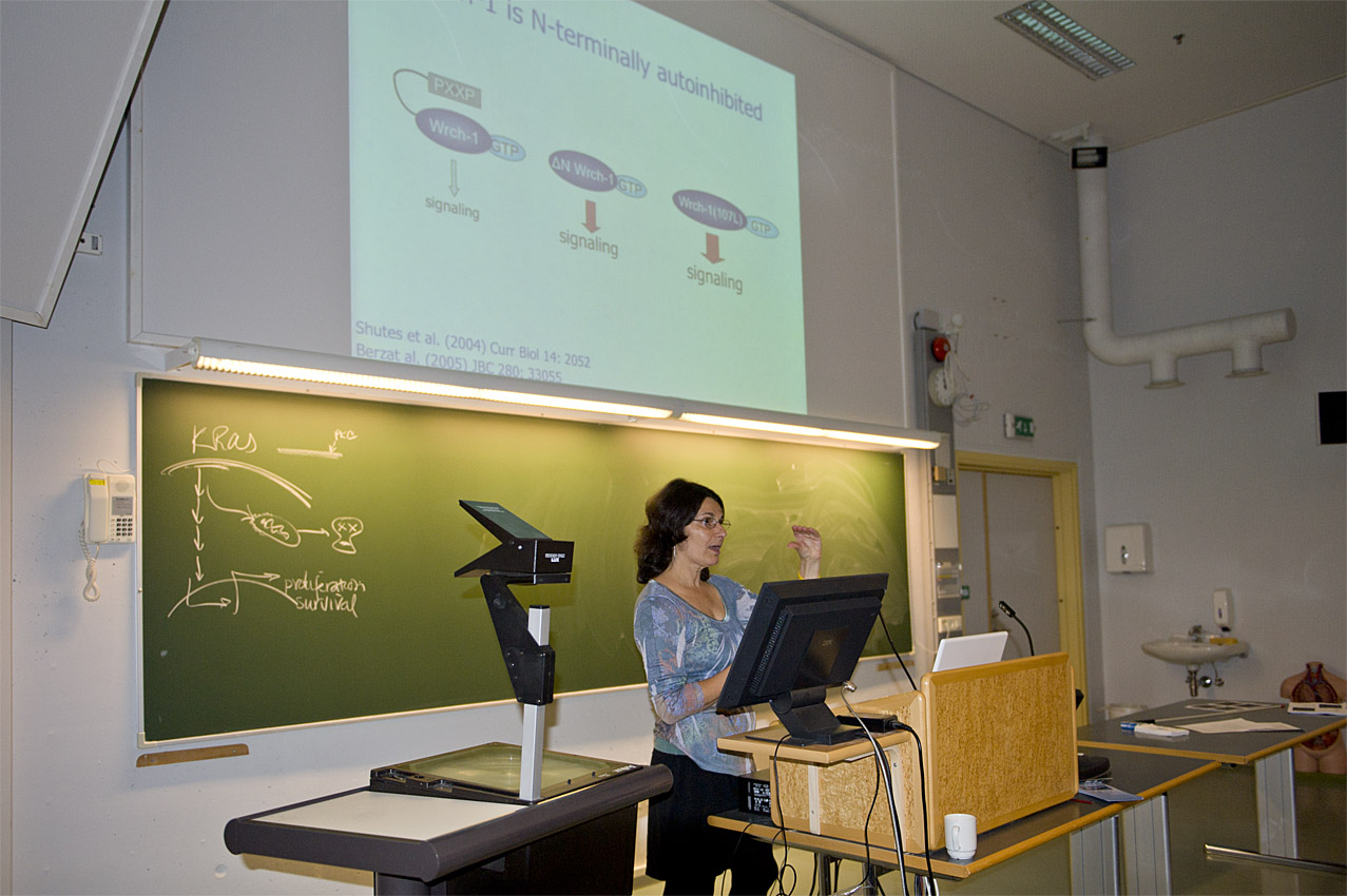 Professor i undervisning-ucroppa72-x.jpg