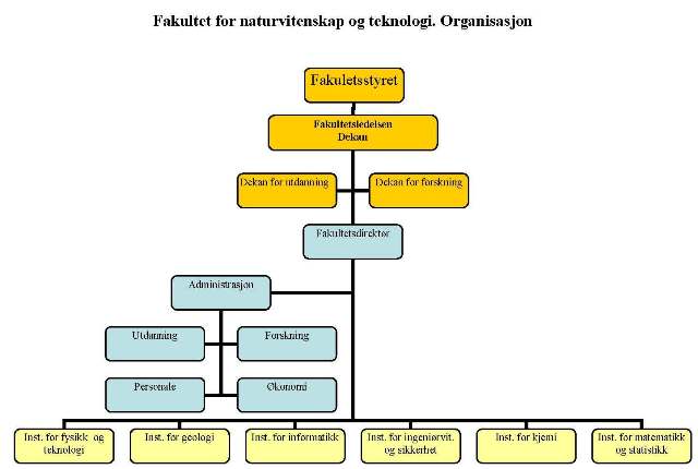 NT-fak organogram