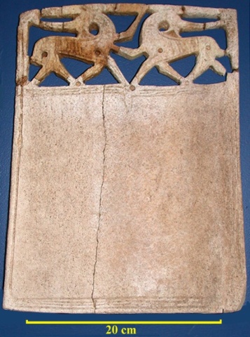 beinplate, foto: Kjersti Jakobsen beinplate1.jpg (640 x 480)