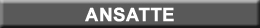 ansatte_fane.jpg