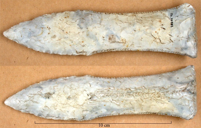 Fiskehaledolk, foto: Kjersti Jakobsen Fiskehaledolk.jpg (640 x 480)