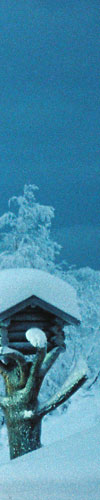 KrNes_006_2_100x500.jpg (Original størrelse) KrNes_006_2_100x500.jpg (Original størrelse)
