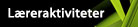 L&aelig;reraktiviteter