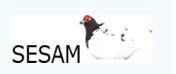 SECAM.jpg