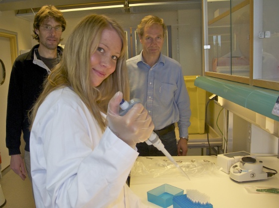 DNA-lab.jpg (Bredde: 560px) DNA-lab.jpg (Bredde: 560px)