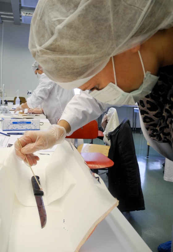 CSI 1.jpg (Bredde: 560px) CSI 1.jpg (Bredde: 560px)