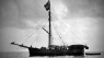 images.jpg (Thumbnail (95x95))