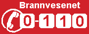 Brann 110