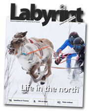 labyrint-engelsk_2011.jpg