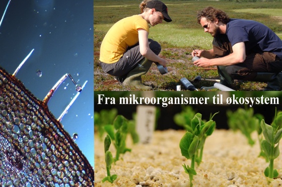 Foto: Selene J.Sollie, Leidulf Lund, Mette M.Svenning