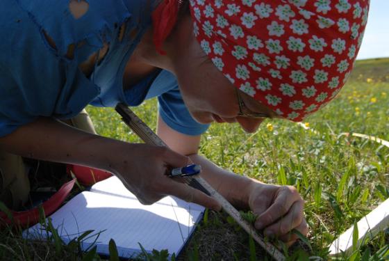 FolkGeirVie_600x402.jpg