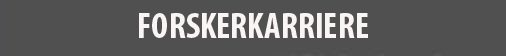 Forskerkarriere ved Helsefak