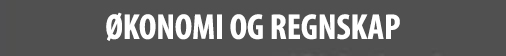 &Oslash;konomi og regnskap
