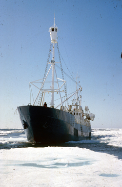 polarfangst