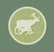 rangifer.jpg