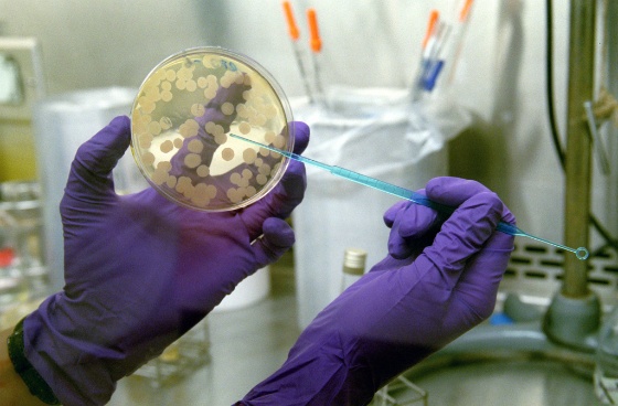 lab3..jpg (Bredde: 560px)