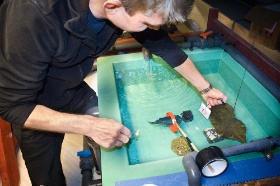 fisketrening (Bredde: 280px) fisketrening (Bredde: 280px)