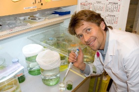 genteknologi (Bredde: 280px) genteknologi (Bredde: 280px)