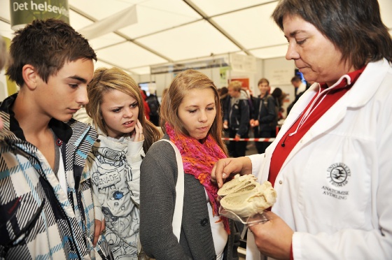 hjerte -72.jpg (Bredde: 560px)