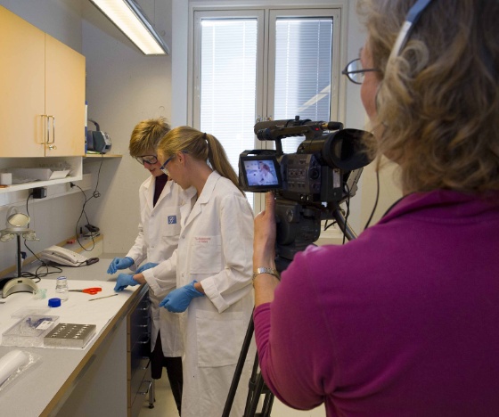 northpop.jpg (Bredde: 560px) northpop.jpg (Bredde: 560px)