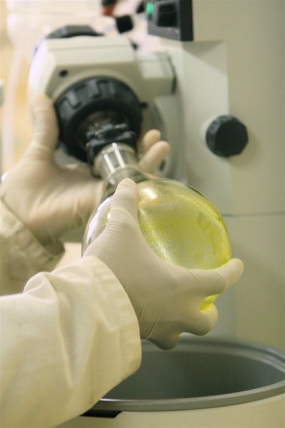 forskning.jpg (Bredde: 560px)