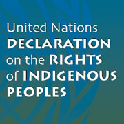 UN_DRIP_logo_180.jpg (Original størrelse)