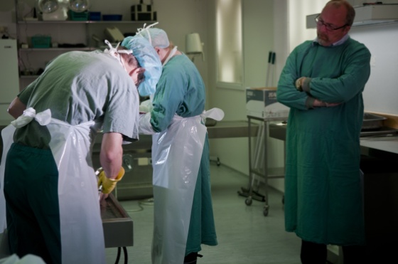 Obduksjon, vasker liket.jpg (Bredde: 560px)