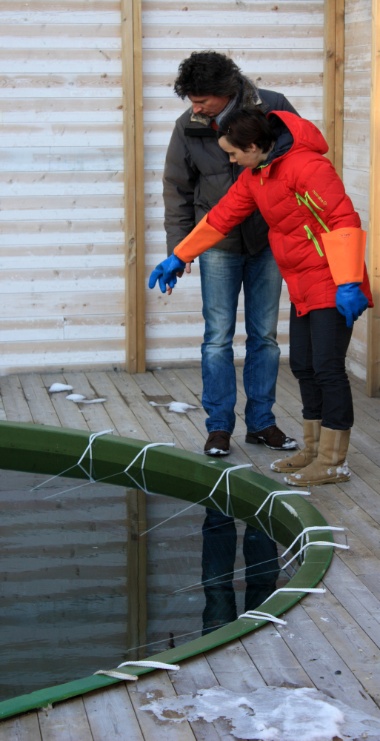 kongekrabbe Lionel Camus (Studiekatalog (380px)) kongekrabbe Lionel Camus (Studiekatalog (380px))