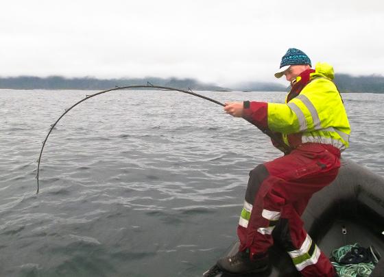 Audun kjører storkveite.jpg