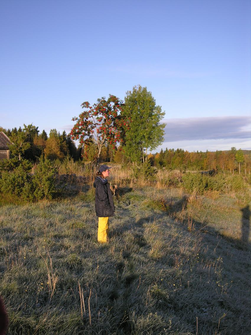 Portrettbilde av H&ouml;gstr&ouml;m, Anette