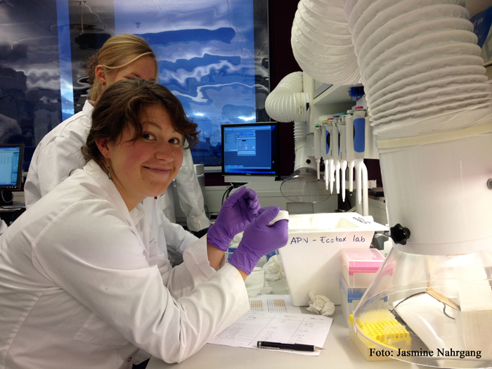 Bilde av en kvinnelig forsker som arbeider i et laboratorium
