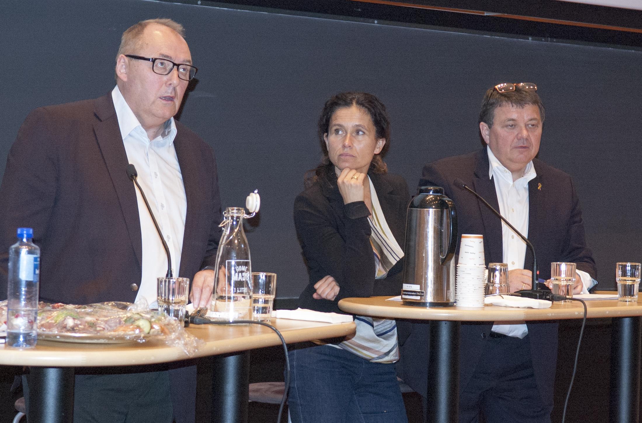 Leder for ekspertgruppa, Rolf Tamnes (t.v.), deltok i debatten sammen med Julie Wilhelmsen og Øystein Bø. Foto: Karine Nigar Aarskog