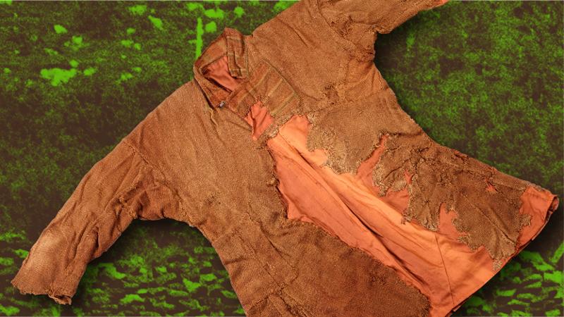 En gang p&aring; 1000-tallet ble en person gravlagt i ei myr p&aring; Skjoldehamn i Vester&aring;len. Den d&oslash;de var ikledd flere ullplagg, som i dag er Nord-Europas eldste komplette klesdrakt. Se hele den unike drakten i utstillinga MANNEN I MYRA.