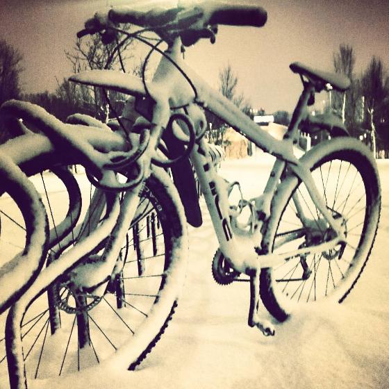 Sykkel-Lina.jpg Ivrige studenter og ansatte ved UiT sykler også når det snø. Foto: Lina Öberg