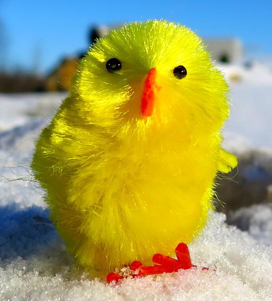 Snart er det p&aring;ske!