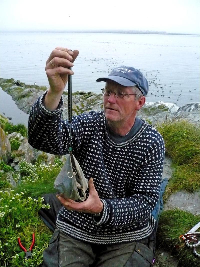 Robert Barrett veier lomviunger på Hornøya i juli 2008. 