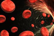 blood cells.jpg