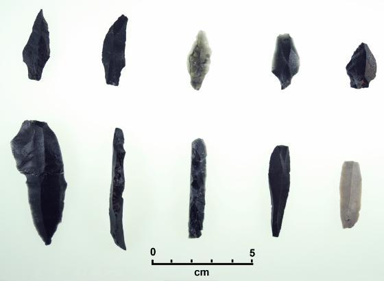 Utvalgte gjenstander fra tidlig eldre steinalder fra felt I. Topp: Tangespisser. Bunn: Stor flekke, to ryggflekker, to flekker (siste av flint).