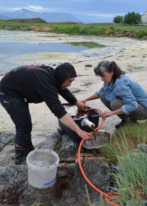 Utgravning på Ørnfløya 2013 og 2014 flotasjonsapparat på stranda
