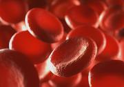 Red blood cells.jpg