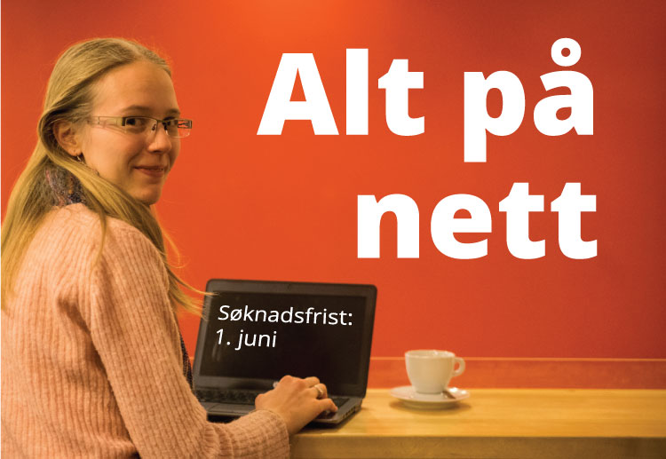 Nettstudier lærerutdanning