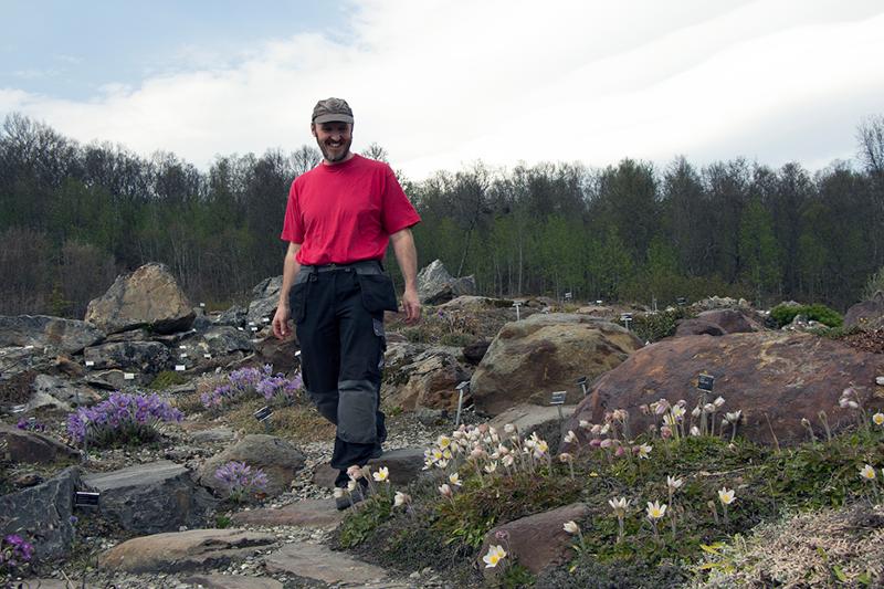 Gartner Martin Hajman inviterer til gratis hagevandring. Kanskje vil du lære mer om hvilke arter som spirer aller først i Troms? 