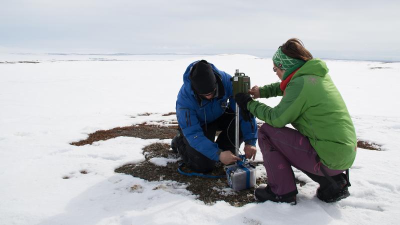 Forskere fra Institutt for arktisk og marin biologi setter ut lyttestasjoner som skal registrere spillet til rypestegger som hevder revir om våren.